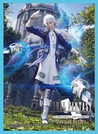 Final Fantasy TCG: Dawn of Heroes Prerelease Sleeves (55-Pack) - Square Enix Card Sleeves - Card Sleeves card
