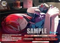 Meanwhile, In Another World...(PR) - hololive production Vol.2 - Weiss Schwarz card