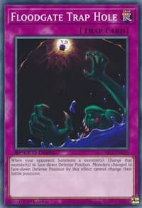 Floodgate Trap Hole - Speed Duel: Streets of Battle City - YuGiOh card