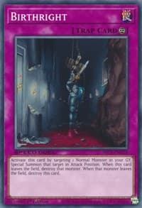 Birthright - Speed Duel: Streets of Battle City - YuGiOh card