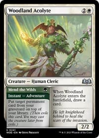 Woodland Acolyte - Wilds of Eldraine - Magic: The Gathering card