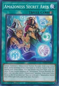 Amazoness Secret Arts - 25th Anniversary Tin: Dueling Heroes Mega Pack - YuGiOh card