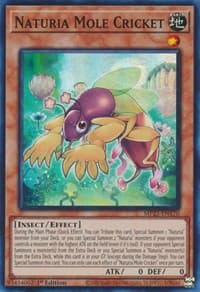 Naturia Mole Cricket - 25th Anniversary Tin: Dueling Heroes Mega Pack - YuGiOh card