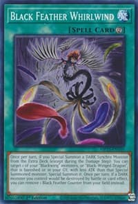 Black Feather Whirlwind - 25th Anniversary Tin: Dueling Heroes Mega Pack - YuGiOh card