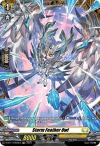 Storm Feather Owl (FR) - D-BT11: Clash of the Heroes - Cardfight Vanguard card