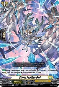 Storm Feather Owl - D-BT11: Clash of the Heroes - Cardfight Vanguard card
