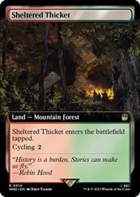 Sheltered Thicket (Extended Art) - Universes Beyond: Doctor Who - Magic: The Gathering card