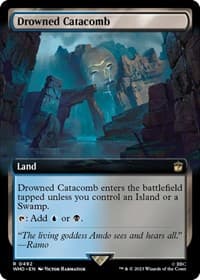 Drowned Catacomb (Extended Art) - Universes Beyond: Doctor Who - Magic: The Gathering card