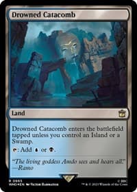 Drowned Catacomb (Surge Foil) - Universes Beyond: Doctor Who - Magic: The Gathering card