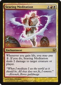 Searing Meditation - Duel Decks: Ajani vs. Nicol Bolas - Magic: The Gathering card