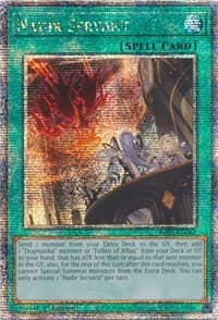 Nadir Servant (Quarter Century Secret Rare) - 25th Anniversary Rarity Collection - YuGiOh card