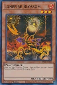 Lonefire Blossom - 25th Anniversary Rarity Collection - YuGiOh card
