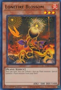 Lonefire Blossom (UR) - 25th Anniversary Rarity Collection - YuGiOh card