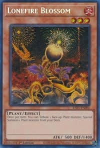Lonefire Blossom (Secret Rare) - 25th Anniversary Rarity Collection - YuGiOh card