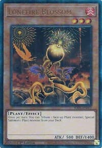 Lonefire Blossom (PUR) - 25th Anniversary Rarity Collection - YuGiOh card