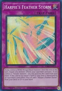 Harpie's Feather Storm - 25th Anniversary Rarity Collection - YuGiOh card