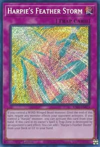 Harpie's Feather Storm (Secret Rare) - 25th Anniversary Rarity Collection - YuGiOh card