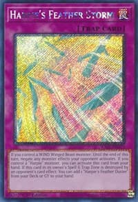 Harpie's Feather Storm (Platinum Secret Rare) - 25th Anniversary Rarity Collection - YuGiOh card