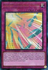 Harpie's Feather Storm (PUR) - 25th Anniversary Rarity Collection - YuGiOh card