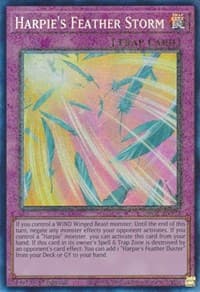 Harpie's Feather Storm (PCR) - 25th Anniversary Rarity Collection - YuGiOh card