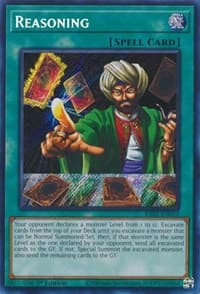 Reasoning (Secret Rare) - 25th Anniversary Rarity Collection - YuGiOh card