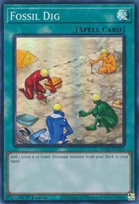 Fossil Dig - 25th Anniversary Rarity Collection - YuGiOh card