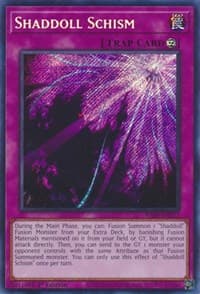 Shaddoll Schism (Secret Rare) - 25th Anniversary Rarity Collection - YuGiOh card