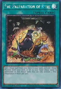 Pre-Preparation of Rites (Platinum Secret Rare) - 25th Anniversary Rarity Collection - YuGiOh card