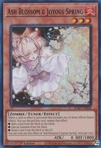 Ash Blossom & Joyous Spring - 25th Anniversary Rarity Collection - YuGiOh card