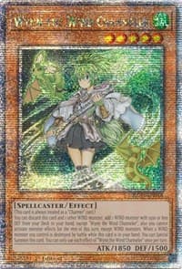 Wynn the Wind Channeler (Quarter Century Secret Rare) - 25th Anniversary Rarity Collection - YuGiOh card