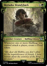 Meriadoc Brandybuck (Showcase Scrolls) - Universes Beyond: The Lord of the Rings: Tales of Middle-earth - Magic: The Gathering card