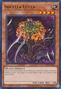 Ibicella Lutea - Valiant Smashers - YuGiOh card