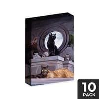 Cubeamajigs Reusable Gaming Packs - Temple Cats by David Palumbo (10-Pack) - Hitpoint Press Thingamajigs - Collectible Storage card
