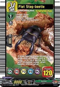 Flat Stag-beetle - D-BT13: Flight of Chakrabarthi - Cardfight Vanguard card