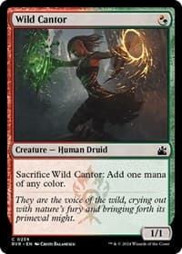 Wild Cantor - Ravnica Remastered - Magic: The Gathering card