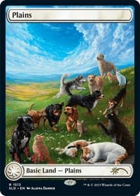 Plains (1513) - Secret Lair Drop Series - Magic: The Gathering card