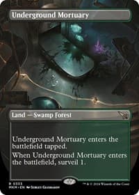 Underground Mortuary (Borderless) - Murders at Karlov Manor - Magic: The Gathering card