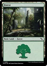 Forest (0286) - Murders at Karlov Manor - Magic: The Gathering card