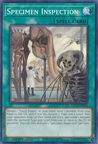 Specimen Inspection - Battles of Legend: Chapter 1 - YuGiOh card