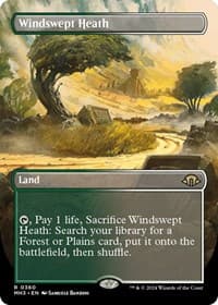 Windswept Heath (Borderless) - Modern Horizons 3 - Magic: The Gathering card