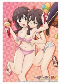 Bushiroad Sleeve Collection HG Vol. 3869: Kono Subarashii Sekai ni Bakuen wo! - Yunyun & Megumin (75-Pack) - Bushiroad Card Sleeves - Card Sleeves card