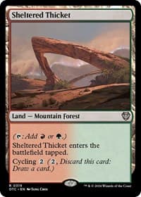 Sheltered Thicket - Commander: Outlaws of Thunder Junction - Magic: The Gathering card
