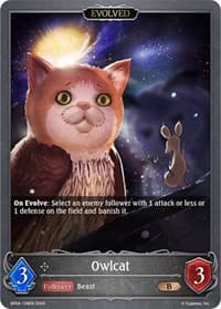 Owlcat (Evolved) - BP04: Cosmic Mythos - Shadowverse: Evolve card