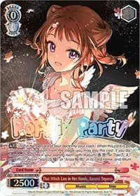 That Which Lies in Her Hands, Kasumi Toyama (BDR) - BanG Dream! Girls Band Party! Countdown Collection Premium Booster - Weiss Schwarz card