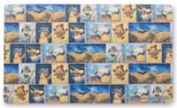 Pokemon TCG: Pokémon Center × Van Gogh Museum: Pokémon Inspired by Paintings from the Van Gogh Museum Playmat - Pokemon International Playmats - Playmats card