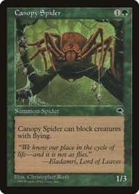 Canopy Spider - Tempest - Magic: The Gathering card