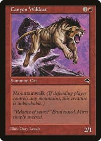 Canyon Wildcat - Tempest - Magic: The Gathering card