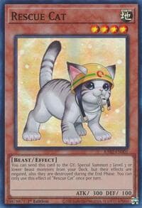 Rescue Cat (Alternate Art) - 25th Anniversary Rarity Collection II - YuGiOh card