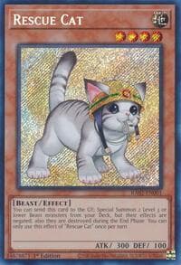 Rescue Cat (Alternate Art) (Secret Rare) - 25th Anniversary Rarity Collection II - YuGiOh card