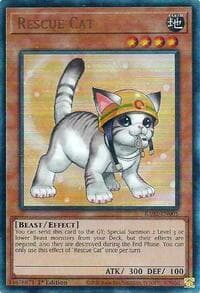Rescue Cat (Alternate Art) (PUR) - 25th Anniversary Rarity Collection II - YuGiOh card